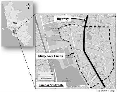 Whole Blood Cytokine Response to Local Traffic-Related Particulate Matter in Peruvian Children With and Without Asthma